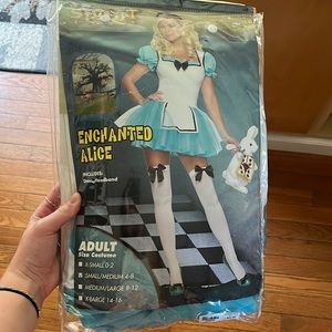 Alice in Wonderland Costume